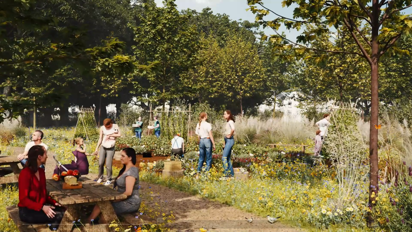 Salt Cross- Allotments and Picnic area